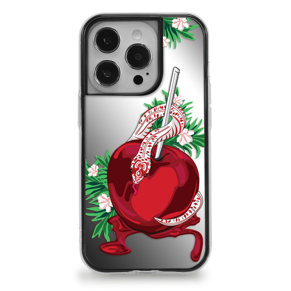 carabiner-